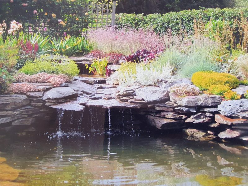 Rock pool pond in Wales with a waterfall stream and rock garden planting