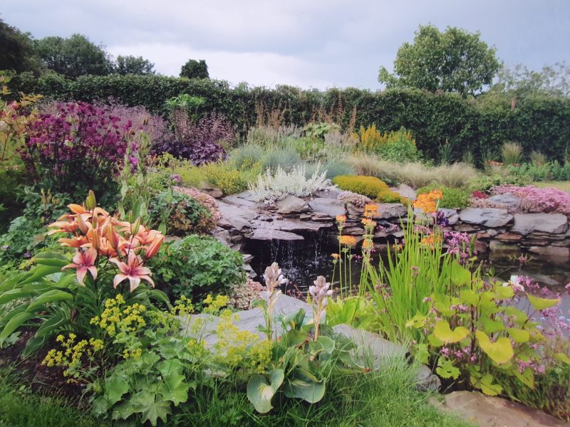 Naturalistic Pond Waterfalls and Planting
