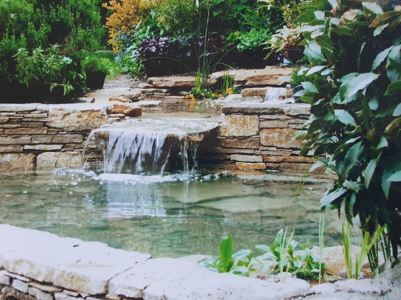 Raised Pond